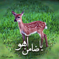 نوحه ضامن اهو رضا با صدای محسن محمدی